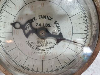 Vintage Pelouze Family Scale 24lb Old Farm House Kitchen Blue Rusty early 1900s 6