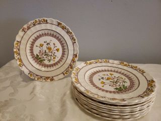 10 Salad Plates Antique Vintage Copeland Spode Buttercup Made In England