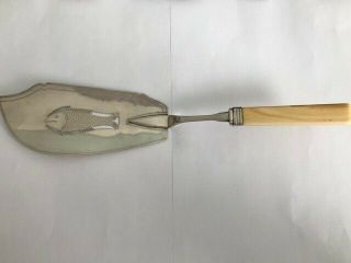 Rare Provincial Sterling Silver Fish Slice (ivory Handle) By John Osment Exeter