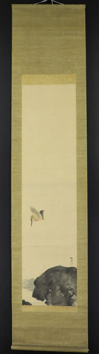 Japanese Hanging Scroll Art Painting " King Fisher " Asian Antique E8361