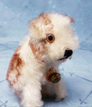 Cute Vintage Steiff Molly Puppy Dog 3.  9 " 1950s W All Id 3310,  00 Nr