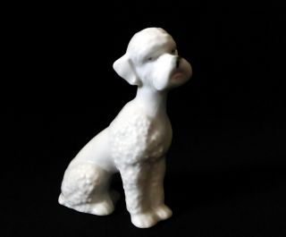 Germany Antique / Vintage 3.  4 " Porcelain Figurine Poodle Dog Ornament Figure