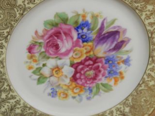 Antique P T Bavaria Dreden Flowers & Raised Gold Dinner,  Cabinet Plate 2