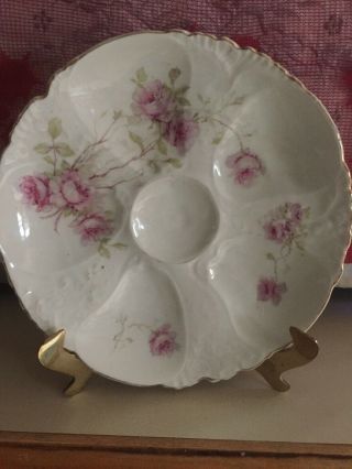 Antique Austria Merkelsgrun Porcelain Pink Roses,  Oyster Plate Clover Mark