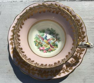 Vintage Eb Foley Pink 1850 Bird Paradise Gold Gilded Tea Cup Saucer Bone China
