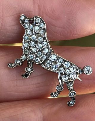 Antique Victorian French Poodle Dog Sterling Silver Diamond Paste Brooch /pin