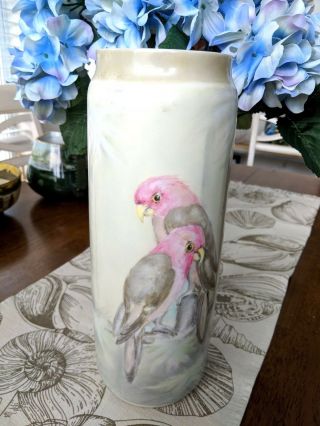 Wonderful 12.  5  Antique Hand Painted Limoges Cylinder Vase With Parakeets