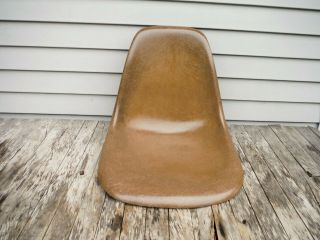 Vintage Herman Miller Fiberglass Chair Side Eams Mid Century Brown Shell