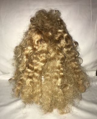 Antique 11 " Long 17” Circ.  Mohair Doll Wig For Antique,  Early & Vintage Dolls