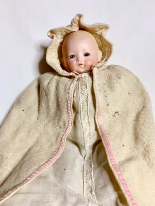 Hermann Steiner Hs 10 - Inch Bisque - Cloth - Celluloid Antique German Baby Doll