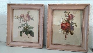 2 Antique P.  J.  Redoute Botanical Roses Art Prints Pink Framed 14 " X 12 "