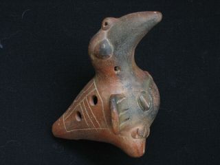 Pre - Columbian Pottery Bird Whistle