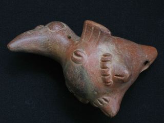Pre - Columbian Pottery Bird Whistle 2