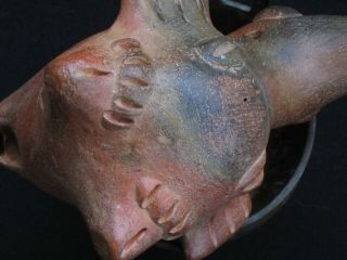 Pre - Columbian Pottery Bird Whistle 4