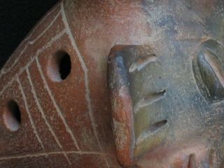 Pre - Columbian Pottery Bird Whistle 5