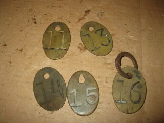 5 Vintage Antique Brass Cow Cattle Tags Display 11 13 14 15 16 2