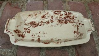 Wh Grindley Co Tunstall Ironstone Daffodil Brown Floral Butter Dish Tray Antique