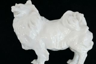 Rare Chow Or Collie Dog By Karl Ens Large Porcelain Figure Antique