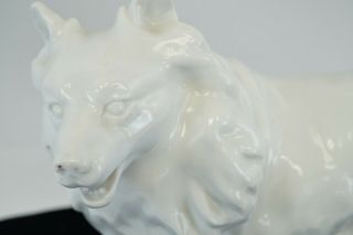 RARE CHOW OR COLLIE DOG by KARL ENS large porcelain figure ANTIQUE 3