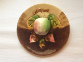 Apple Antique French Majolica Palissy 3 - D Apple Plate Orchies C.  1800 