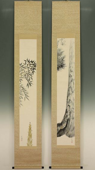 掛軸1967 Japanese Hanging Scrolls " Pine Tree And Bamboo Shoot " @e352
