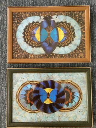Set 2 Vintage Butterfly Wing Geometric Framed Art Pictures Wall Hangings