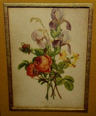 Vtg H Hal Kramer Co Framed Botanical Flower 7 