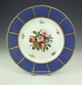 Antique Spode Porcelain Hand Painted Flowers Plate - Gilt & Blue Borders