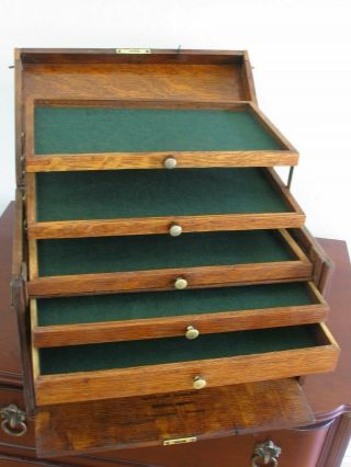 Antique 1800s Quartersawn Oak Nine Drawer Display Storage Chest 2