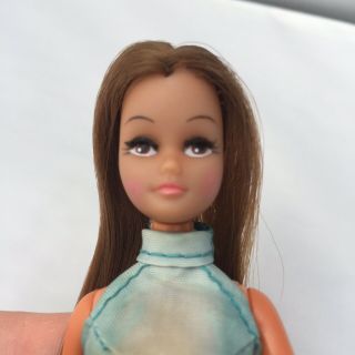 Pippa Friend Marie Doll Palitoy 70 ' s Lovely Great Face 3