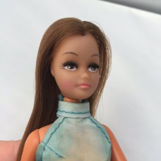 Pippa Friend Marie Doll Palitoy 70 ' s Lovely Great Face 4