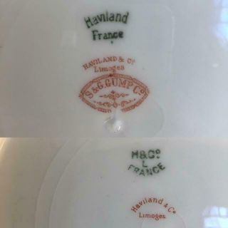 CHAS FIELD HAVILAND Limoges Antique Schleiger Plate Bowl VICTORIAN 1800s 31pc 7