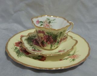 Antique Rosina Hand Painted 2121 Carnations Luncheon Set Plate Cup And Saucer