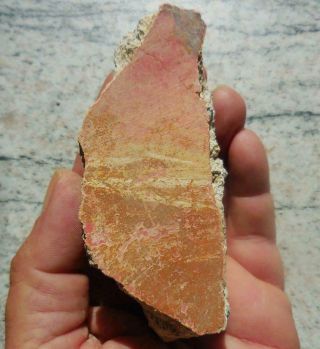 Roman Painted Fresco Wall Plaster From Pompeii Villa 79ad.  Recorded