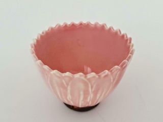 Rare Antique Art Nouveau Zsolnay Pecs Majolica Lotus Flower Cup & Saucer 1880 1 7