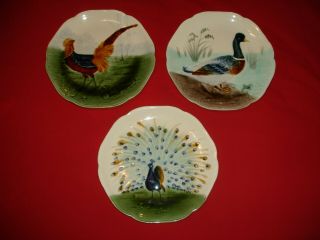 Set Of 3 Antique Choisy Le Roi French Majolica Bird Plates Pheasant Peacock Vgc
