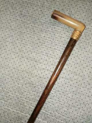 Antique Jonathan Howell Walking Stick W/ Bovine Horn Handle & Gold Plate Collar