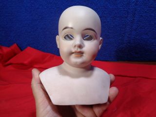Antique Bisque Doll Head.  A - 1