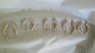 10 Antique Bisque Doll Arms From Germany/possible Matching/1800 