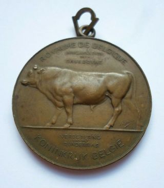 Antique 1908 Belgian Bull Farming Cattle Livestock Breeder Award Medal