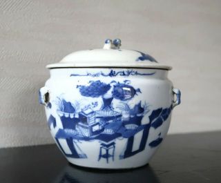 Very Rare Chinese Antique Blue And White Porcelain Tea Caddy Jar Qing Dynasty