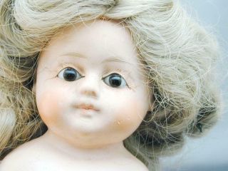 Antique Paper Papier Mache Glass Eye Doll Straw Stuffed Cloth Body