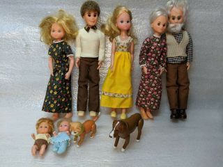 Vtg Mattel 1970s Sunshine Family Dolls Mom Dad Sweets Grand Parents Dog Cat Pets