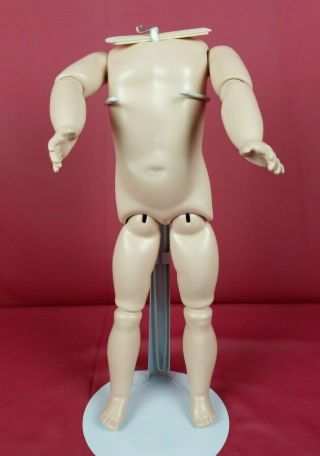 Vintage Seeley Antique Doll Body Fully Jointed Marked For Bisque Socket Head 13 "