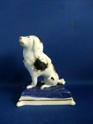 Antique 19thc Staffordshire Pottery Figure Of A Poodle Dog C1835 - Samuel Alcock