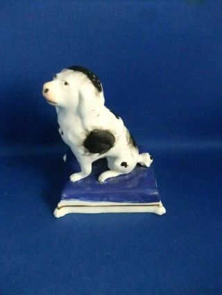 ANTIQUE 19THC STAFFORDSHIRE POTTERY FIGURE OF A POODLE DOG C1835 - SAMUEL ALCOCK 2
