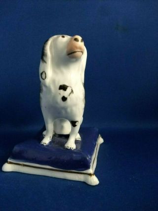 ANTIQUE 19THC STAFFORDSHIRE POTTERY FIGURE OF A POODLE DOG C1835 - SAMUEL ALCOCK 3