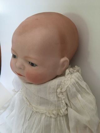 14” Antique Bisque Bye - Lo Baby Doll Grace S.  Putnam Germany Blue Sleep Eyes 7