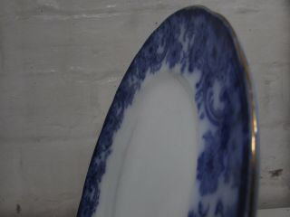 ANTIQUE FLO BLUE ROYAL DOULTON POTTERY DINNER PLATE RGD 316420 3 3
