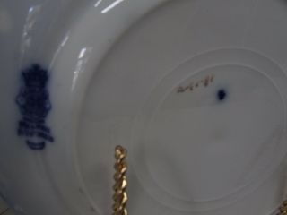 ANTIQUE FLO BLUE ROYAL DOULTON POTTERY DINNER PLATE RGD 316420 3 4